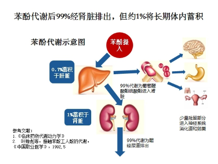 生长激素含苯酚的危害