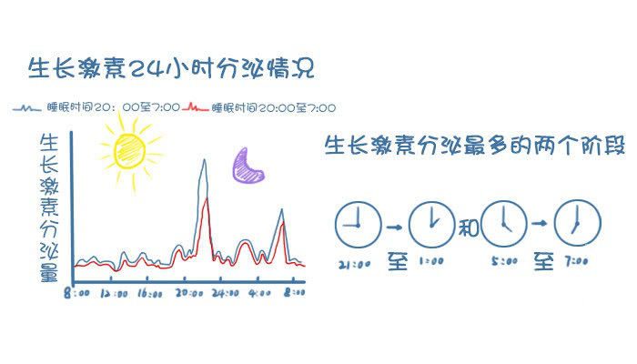 生长激素 分泌