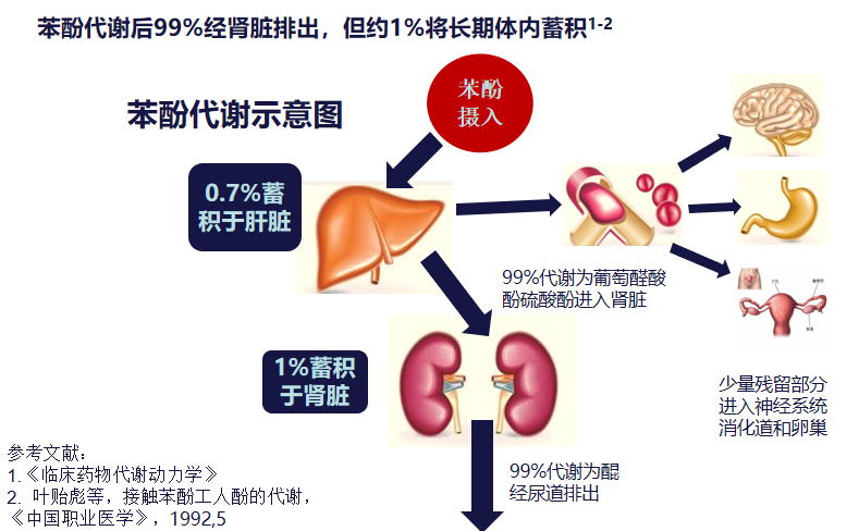 生长激素安全性