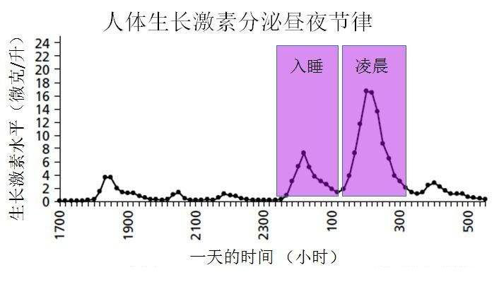 个子长得慢，是时候要给孩子做生长激素检查了！