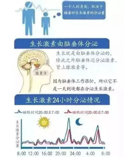 正确认识生长激素激发试验