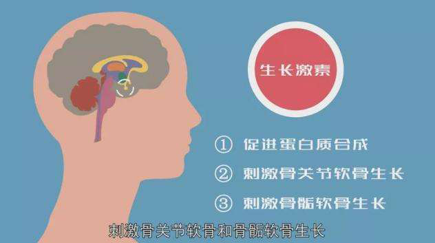 生长激素不得不说的事—比活性