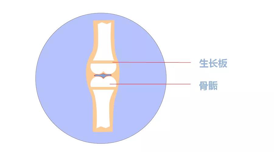 制约孩子长高的「三大关键因素」