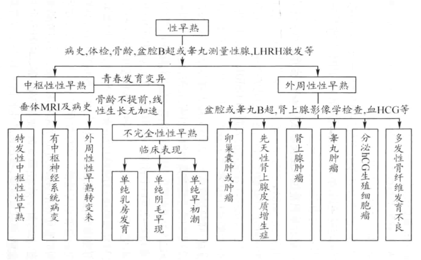 性早熟的分类