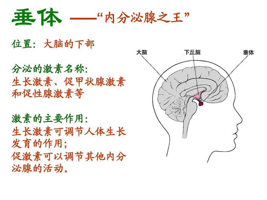 矮小症生长激素治疗能提升孩子成年终身高吗？