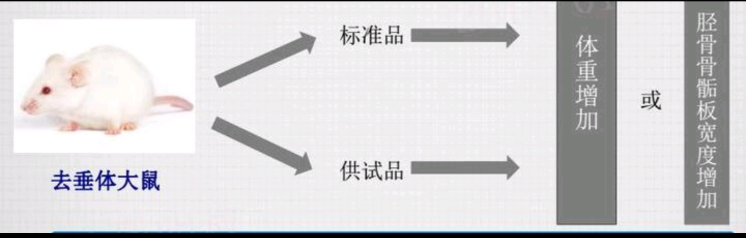 生长激素比活性