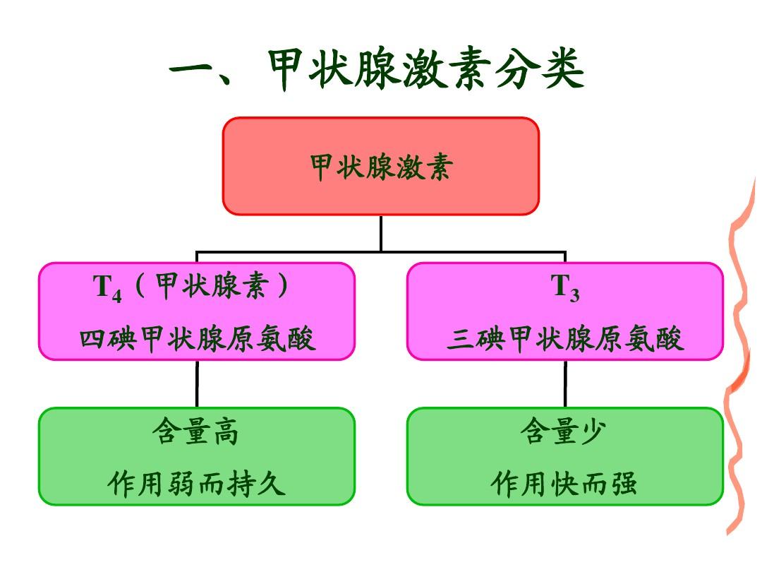 j甲状腺激素 