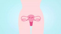生长激素在生殖医学的应用