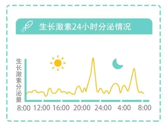 生长激素分泌规律