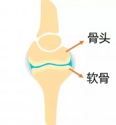 孩子是否能长高，先看这8个小秘密